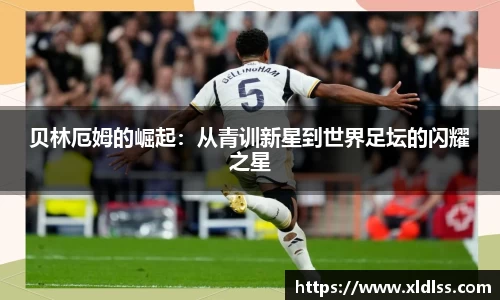 必威西汉姆官网