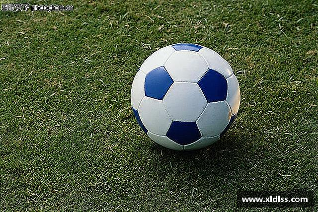 介绍必威西汉姆官网